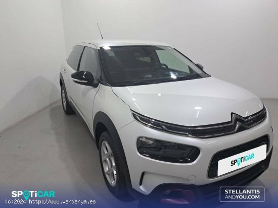 Citroën C4 Cactus  PureTech 81KW (110CV) S&S Feel - Sant Boi de Llobregat