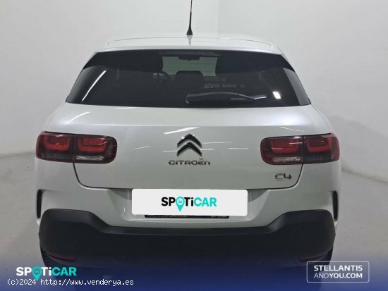 Citroën C4 Cactus  PureTech 81KW (110CV) S&S Feel - Sant Boi de Llobregat