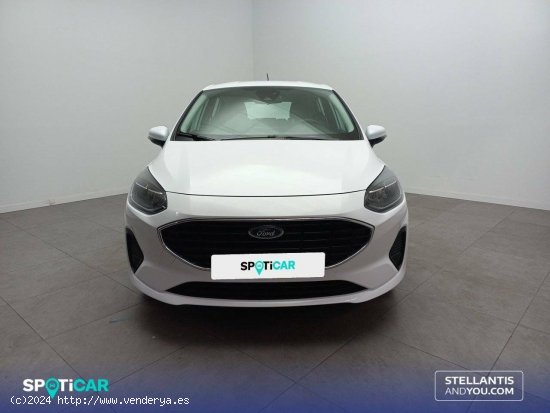 Ford Fiesta  1.1 IT-VCT 55kW (75CV)  5p Trend - Sant Feliu de Llobregat