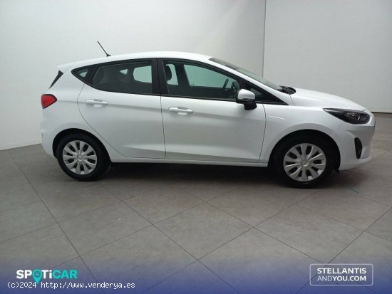 Ford Fiesta  1.1 IT-VCT 55kW (75CV)  5p Trend - Sant Feliu de Llobregat