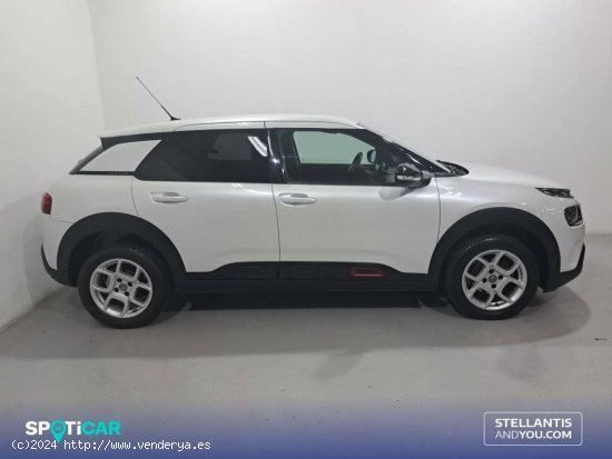 Citroën C4 Cactus  PureTech 81KW (110CV) S&S Feel - Sant Boi de Llobregat