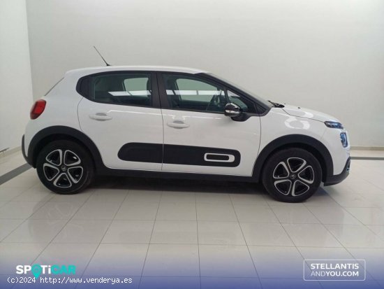 Citroën C3  BlueHDi 75KW (100CV) Plus - Ourense