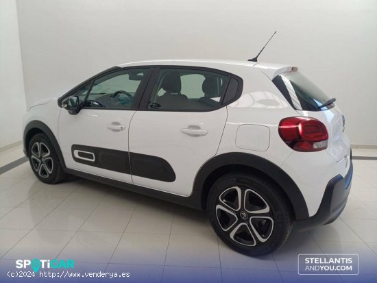 Citroën C3  BlueHDi 75KW (100CV) Plus - Ourense