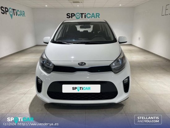 Kia Picanto  1.0 DPi 49kW (67CV) Concept - Almería