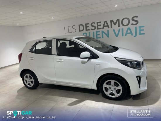 Kia Picanto  1.0 DPi 49kW (67CV) Concept - Almería