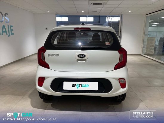 Kia Picanto  1.0 DPi 49kW (67CV) Concept - Almería