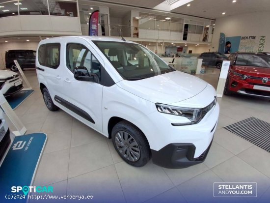 Citroën Berlingo  Talla M BlueHDi 100 S&S Plus - Huelva