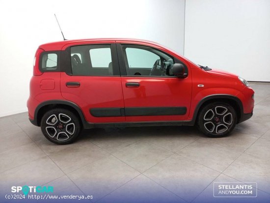 Fiat Panda   Hybrid 1.0 Gse 51kw (70CV) City Life - Huelva