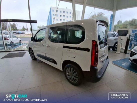 Citroën Berlingo  Talla M BlueHDi 100 S&S Plus - Huelva