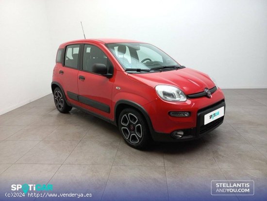 Fiat Panda   Hybrid 1.0 Gse 51kw (70CV) City Life - Huelva