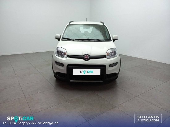 Fiat Panda   Hybrid 1.0 Gse 51kw (70CV) City Life - Huelva