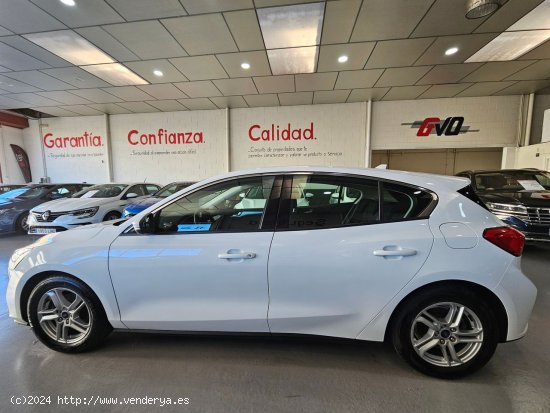 Ford Focus 1.5 ECOBLUE  120 CV TREND+ - CUENCA