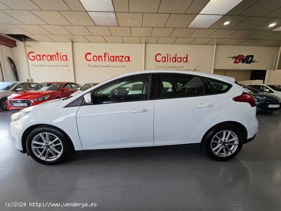 Ford Focus 1.5 TDCI 120CV TREND + - CUENCA