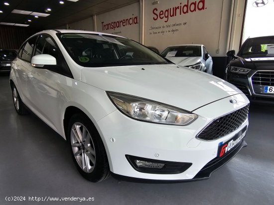 Ford Focus 1.5 TDCI 120CV TREND + - CUENCA