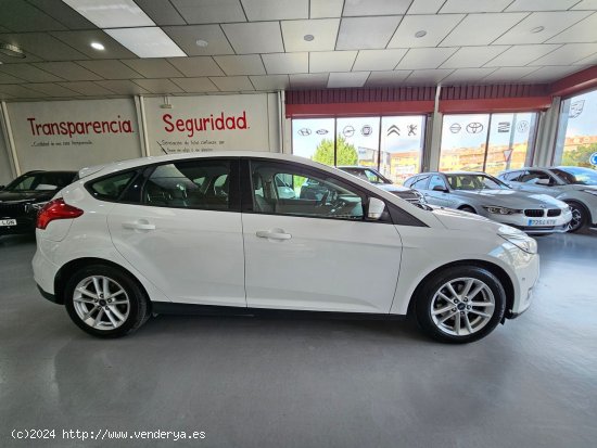 Ford Focus 1.5 TDCI 120CV TREND + - CUENCA