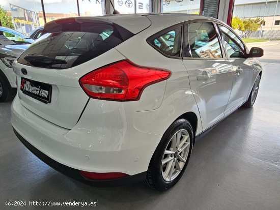 Ford Focus 1.5 TDCI 120CV TREND + - CUENCA