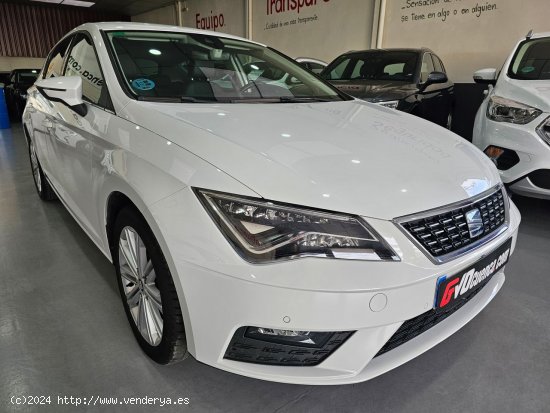 Seat Leon 2.0 TDI  150CV XCELLENCE EDITION - CUENCA