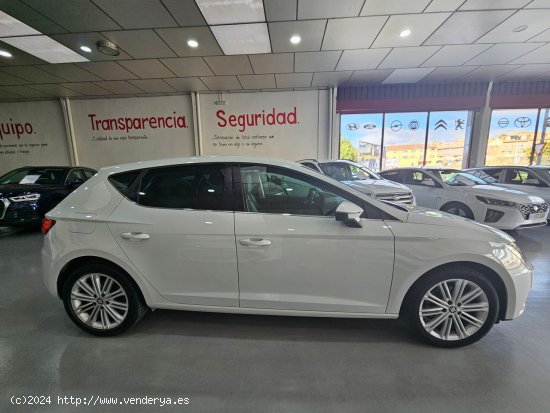 Seat Leon 2.0 TDI  150CV XCELLENCE EDITION - CUENCA