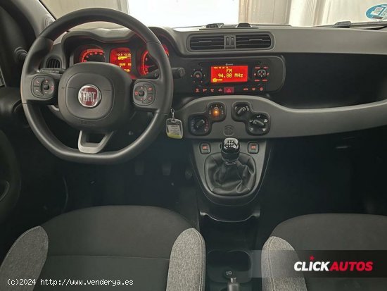 Fiat Panda 1.0 GSE 70CV City Life Hybrid - Elche