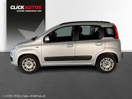 Fiat Panda 1.2 69CV Lounge - Riba-roja del turia