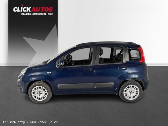 Fiat Panda 1.2 69CV Lounge - 