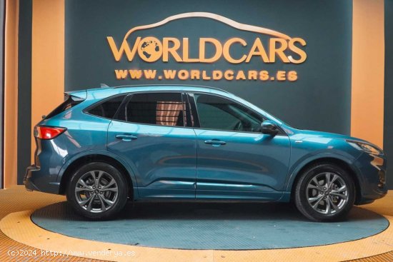 Ford Kuga ST-Line 1.5 EcoBlue 88kW (120CV) Auto - San Vicente del Raspeig