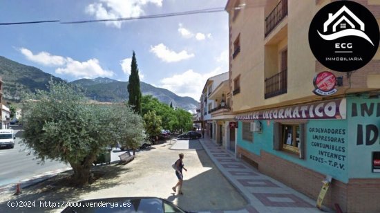 Local comercial en Alquiler en Padul Granada