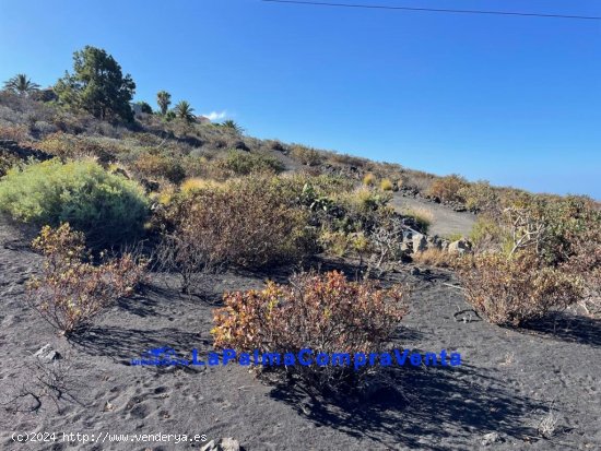 Suelo rústico en Venta en Llanos De Aridane, Los Santa Cruz de Tenerife