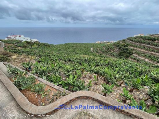 Suelo rústico en Venta en San Andres Y Sauces Santa Cruz de Tenerife