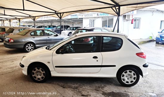 Peugeot 206 1.4 HDI LOOK 70 - Cornella de Terri