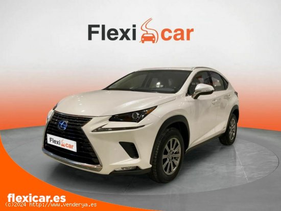 Lexus NX 2.5 300h Business Navigation 2WD - Alicante