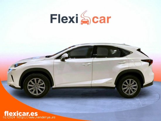 Lexus NX 2.5 300h Business Navigation 2WD - Alicante