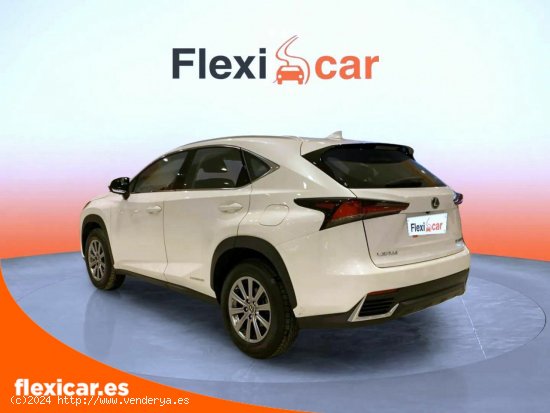 Lexus NX 2.5 300h Business Navigation 2WD - Alicante