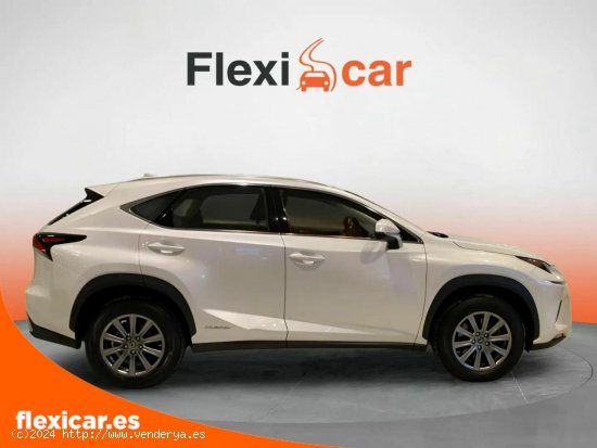 Lexus NX 2.5 300h Business Navigation 2WD - Alicante