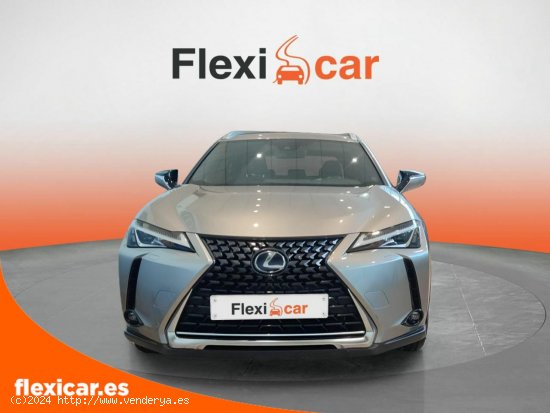 Lexus UX 2.0 250h Business - Badajoz