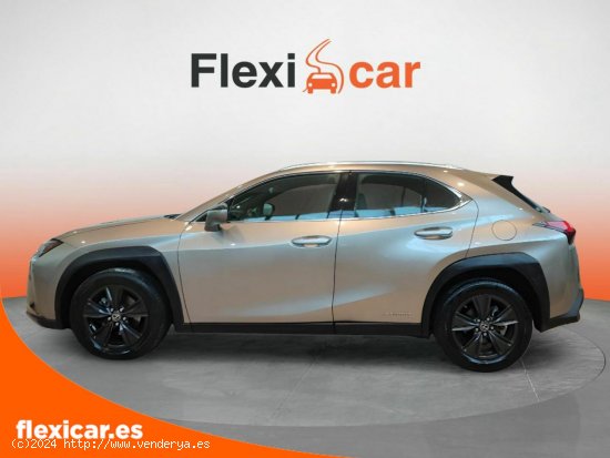 Lexus UX 2.0 250h Business - Badajoz