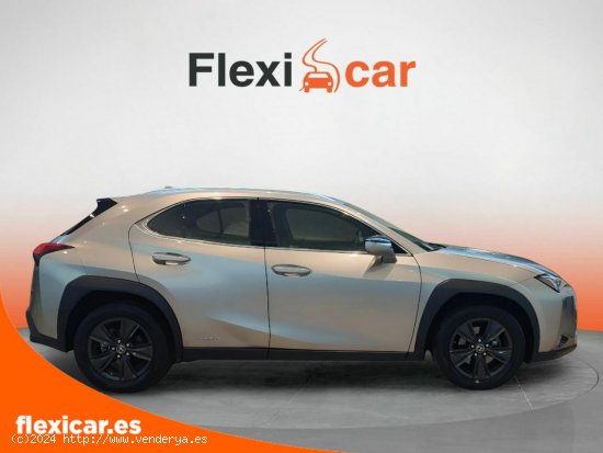 Lexus UX 2.0 250h Business - Badajoz