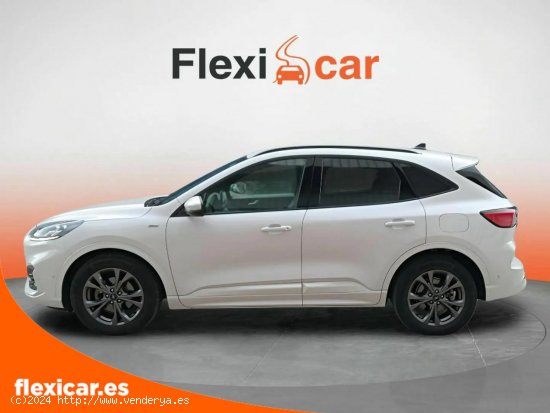 Ford Kuga ST-Line 2.0 EcoBlue MHEV 110kW (150CV) - Girona