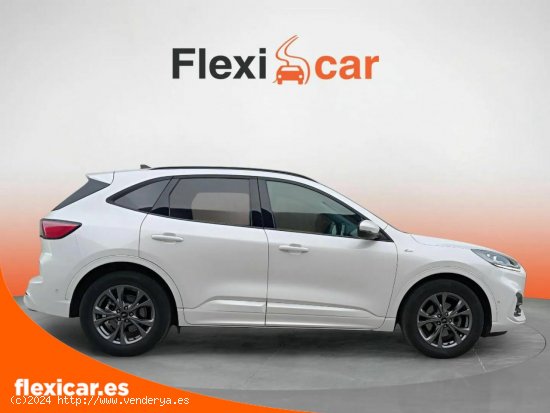 Ford Kuga ST-Line 2.0 EcoBlue MHEV 110kW (150CV) - Girona