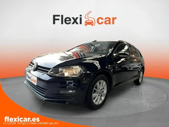 Volkswagen Golf Variant Business & Navi 1.6 TDI 110 BMT - Sabadell