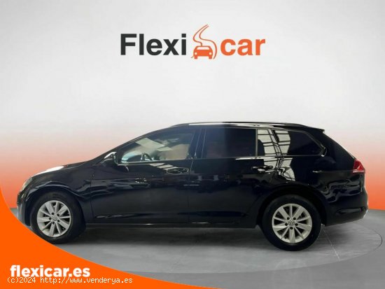 Volkswagen Golf Variant Business & Navi 1.6 TDI 110 BMT - Sabadell