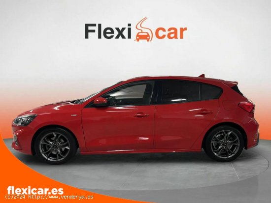 Ford Focus 1.0 Ecoboost 92kW ST-Line - San Andrés de Palomar