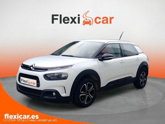 Citroën C4 Cactus BlueHDi 100 S&S Feel - Galdakao