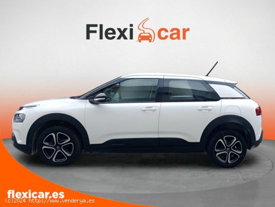 Citroën C4 Cactus BlueHDi 100 S&S Feel - Galdakao