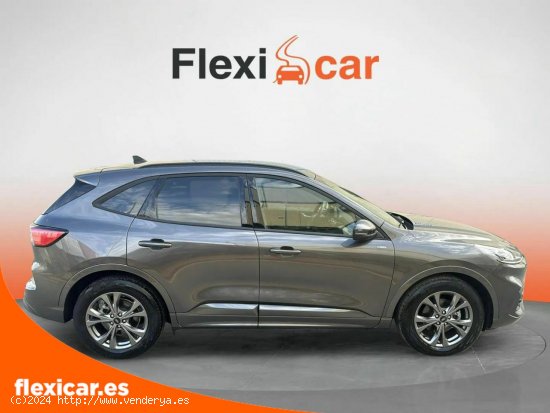 Ford Kuga ST-Line 2.0 EcoBlue 88kW (120CV) Auto - Salamanca