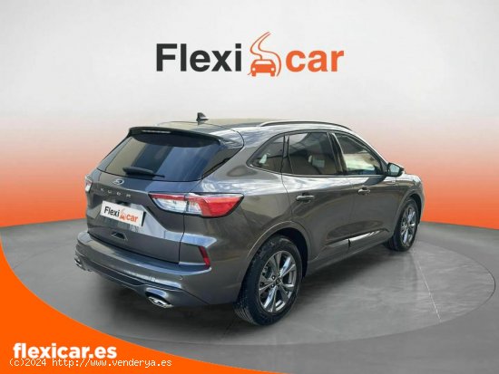 Ford Kuga ST-Line 2.0 EcoBlue 88kW (120CV) Auto - Salamanca