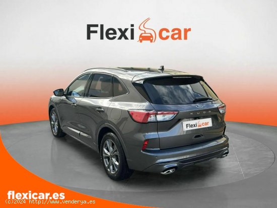 Ford Kuga ST-Line 2.0 EcoBlue 88kW (120CV) Auto - Salamanca