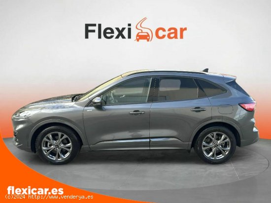 Ford Kuga ST-Line 2.0 EcoBlue 88kW (120CV) Auto - Salamanca