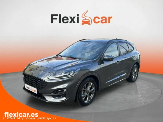 Ford Kuga ST-Line 2.0 EcoBlue 88kW (120CV) Auto - Salamanca