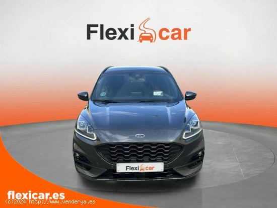 Ford Kuga ST-Line 2.0 EcoBlue 88kW (120CV) Auto - Salamanca